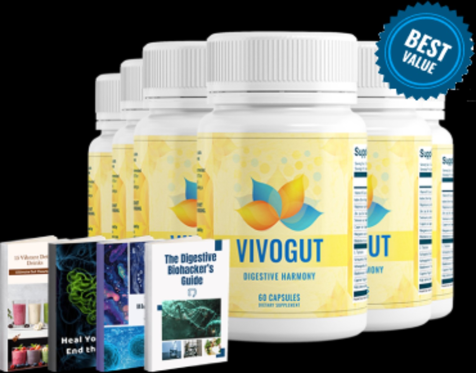 Gut Health wellness guide